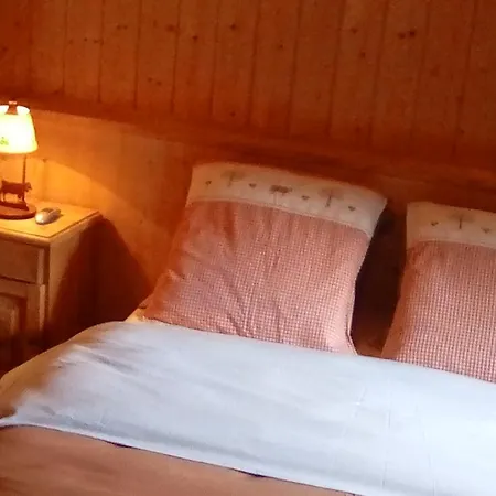 Gasthof Grand Du Du Boreon 3*